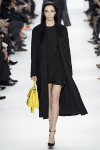 dior 2015 1